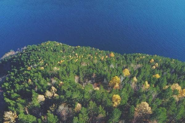 Photo 2 de Delmas Keshnel ZAMBOU DONGMO