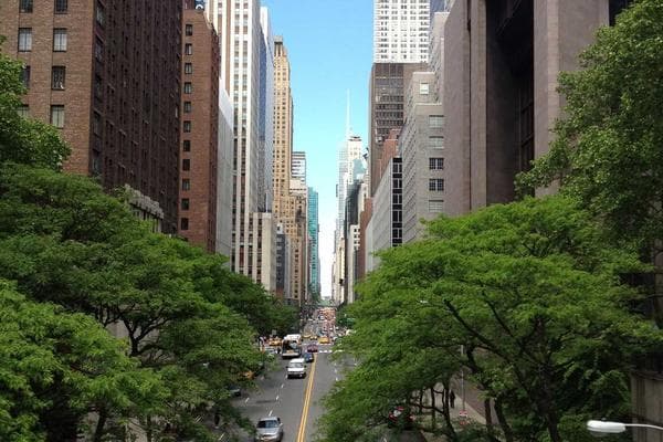 Photo 3 de Joyce Zangue